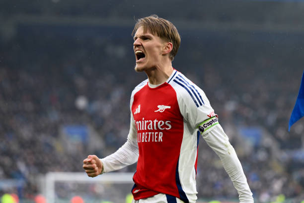 在这样的大 在这样的大